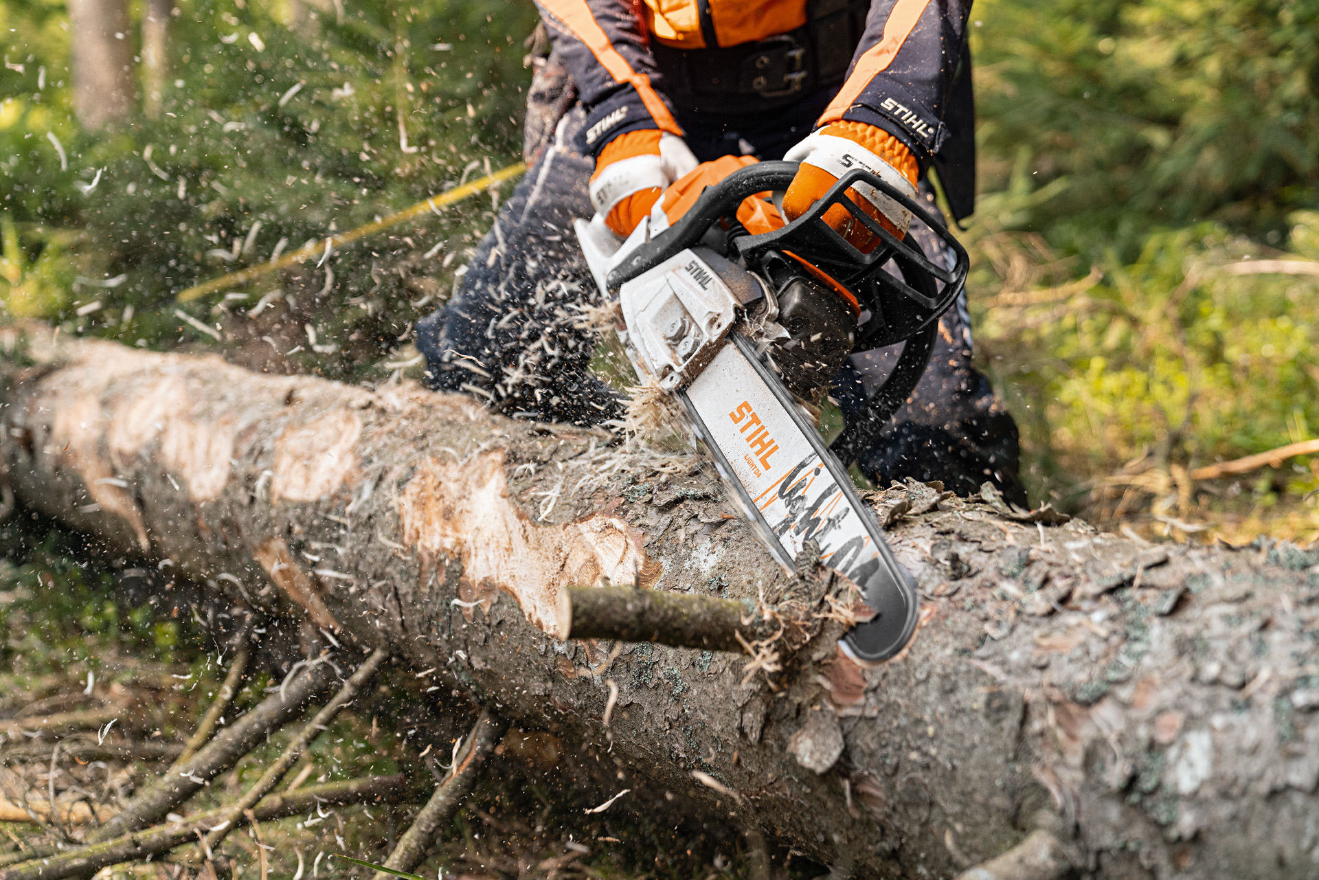 En trestamme barkes med STIHL bensinmotorsag MS 261 C-M med 2-MIX-motor og sverdet Light 04 i skogen.