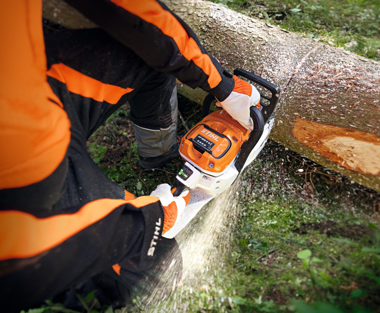 Nærbilde av en person som skjærer gjennom en trestamme med STIHL MSA 300 batteridrevet motorsag
