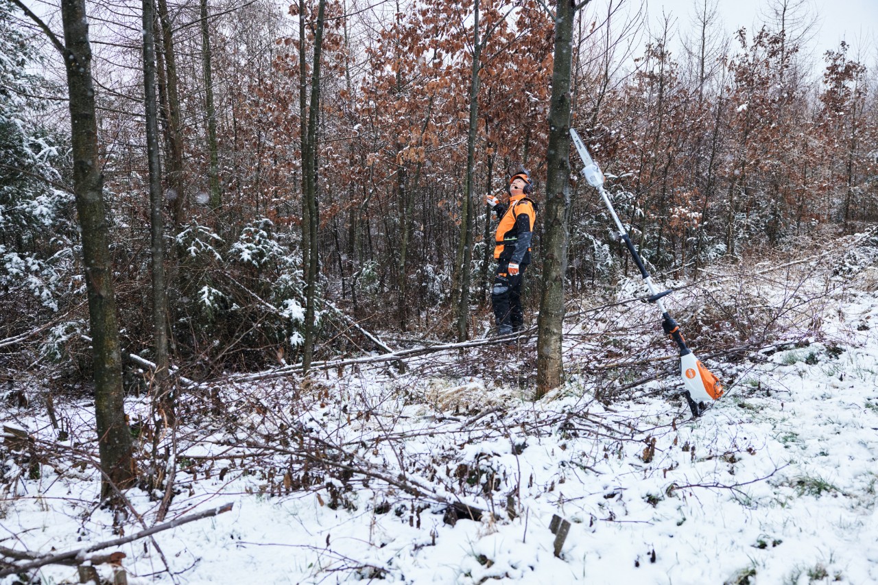 En mann i verneutstyr som arbeider i en snøkledd skog, mens en STIHL HTA 150 batteridrevet grensag står lent opp mot en trestamme i forgrunnen