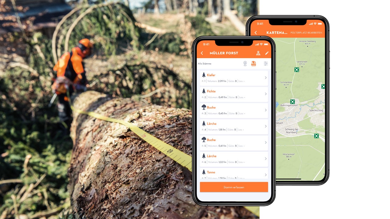 Sammenstilling av et tre med målebånd og smarttelefoner med STIHL Holzliste-appen