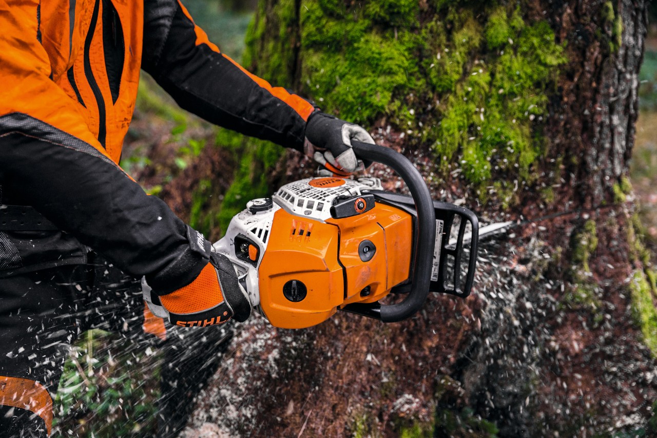 Nærbilde av mann med STIHL MS 500i motorsag som kapper opp en trestamme