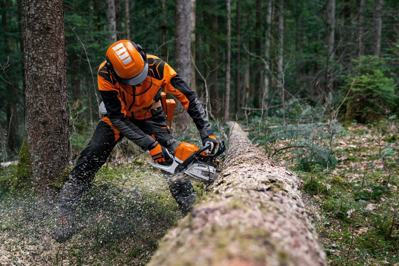 En mann i verneutstyr sager i liggende trestammer med en STIHL MS 400 C-M bensinmotorsag med magnesiumstempel