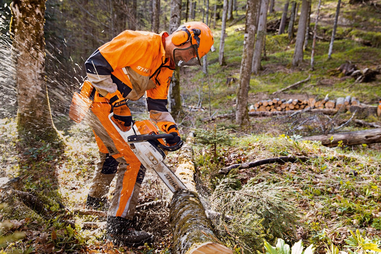Skogsarbeider iført STIHL verneklær med Dynamic Vent-bukse (kuttbeskyttelsesklasse 1) sager trær i skogen med en STIHL motorsag