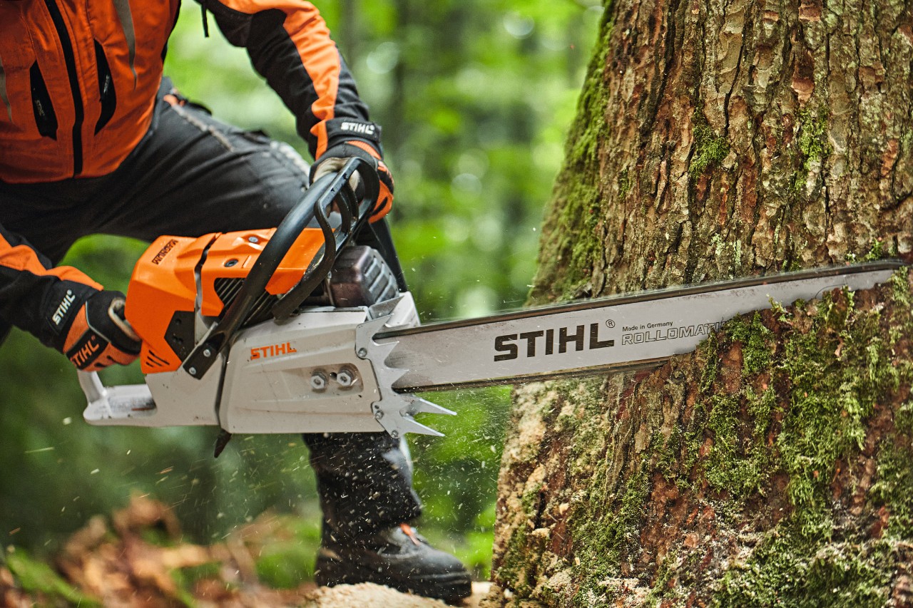 En person sager et tre med en STIHL MS 881 bensindrevet motorsag med sverdnese