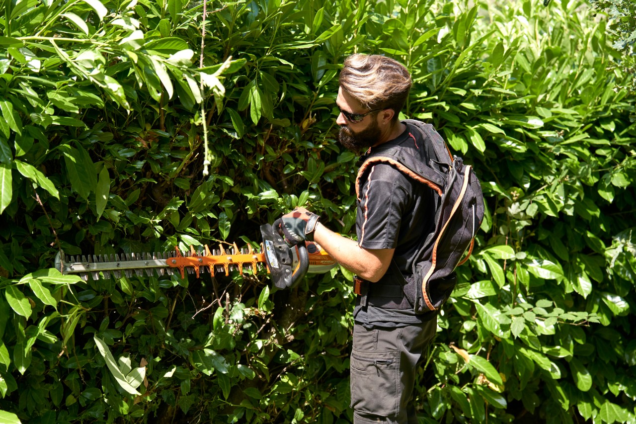 En fagperson iført verneutstyr klipper en hekk med en STIHL batteridrevet hekksaks