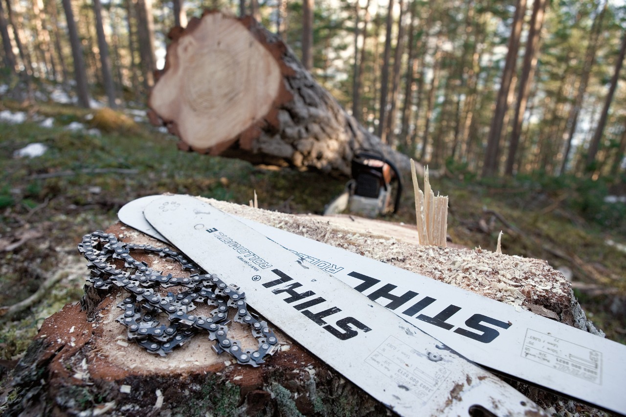 To Rollomatic-sverd og sagkjeder som ligger på en trestubbe i skogen