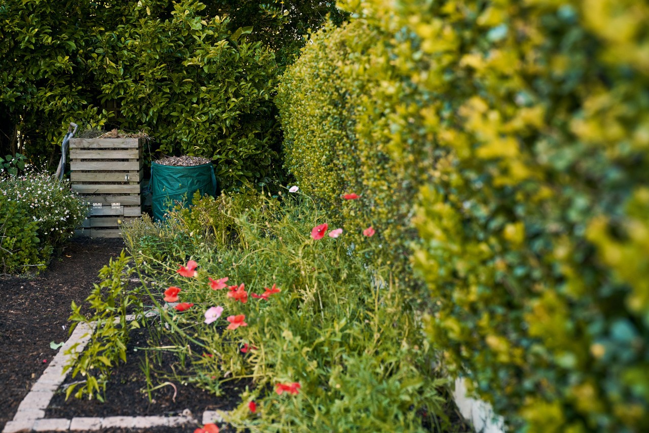 I bakgrunnen står en kompostbinge av tre ved siden av en løvtønne, foran et bed med røde blomster og en grønn hekk