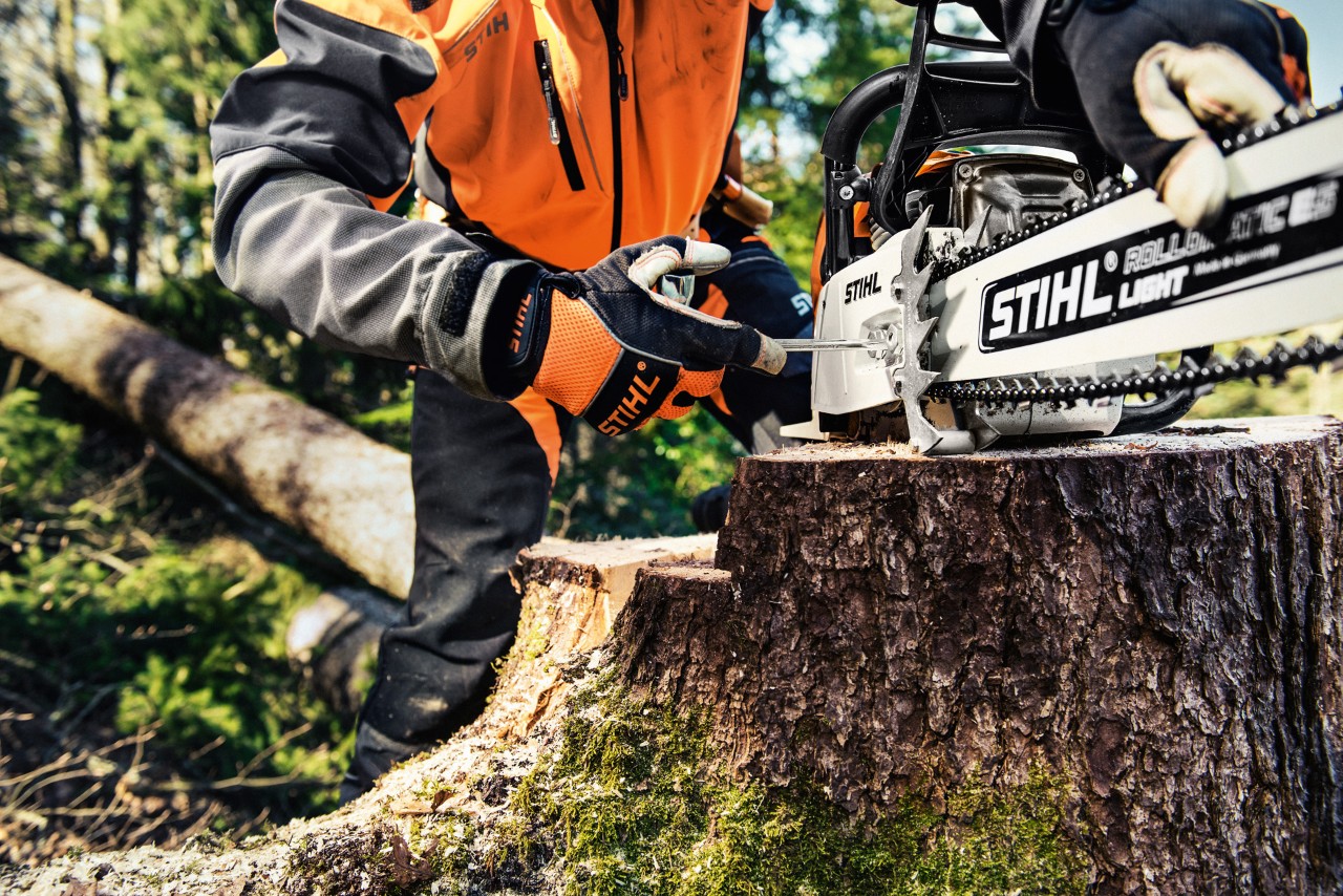 En STIHL MS 461 bensinmotorsag på en trestamme mens en person i verneklær skrur av kjedehjuldekselet