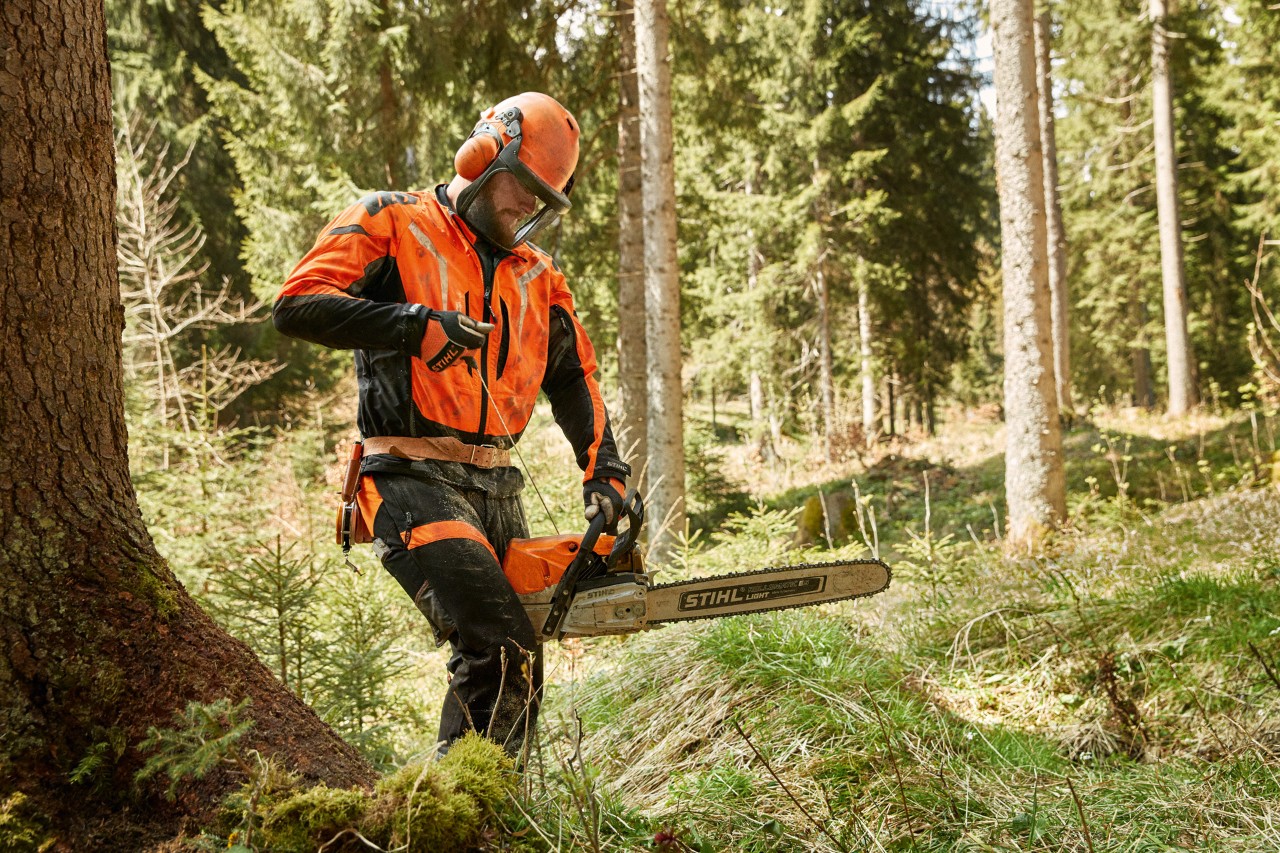 Skogsarbeider med verneutstyr og STIHL MS 462 C bensinmotorsag i barskog
