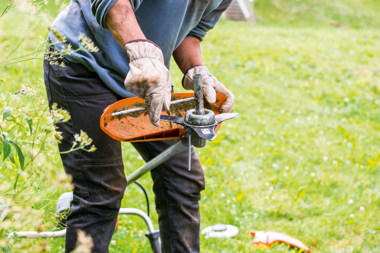 Rengjøring av klippehodet ved vedlikehold av STIHL FS 131 ryddesag
